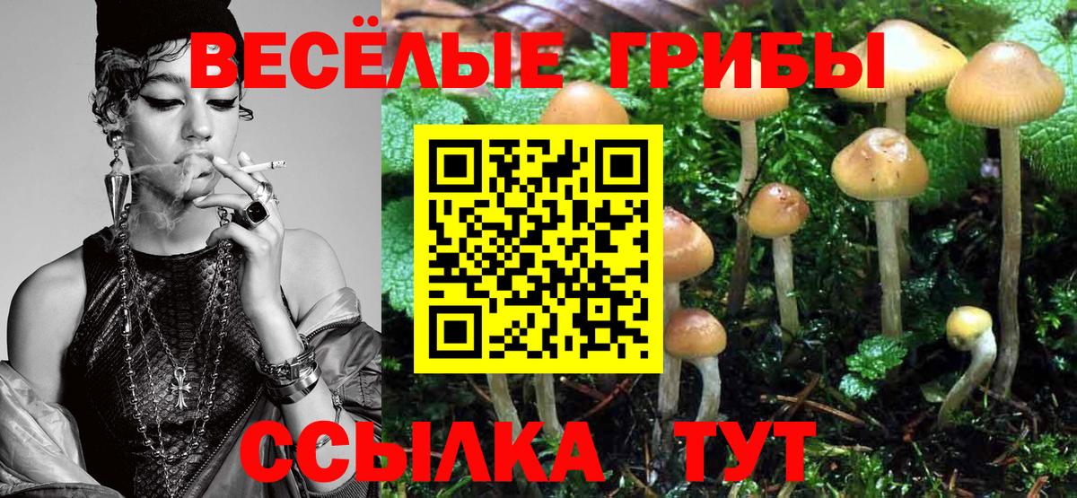 Клин  Псилоцибиновые грибы прущие грибы  Вход с VPN 